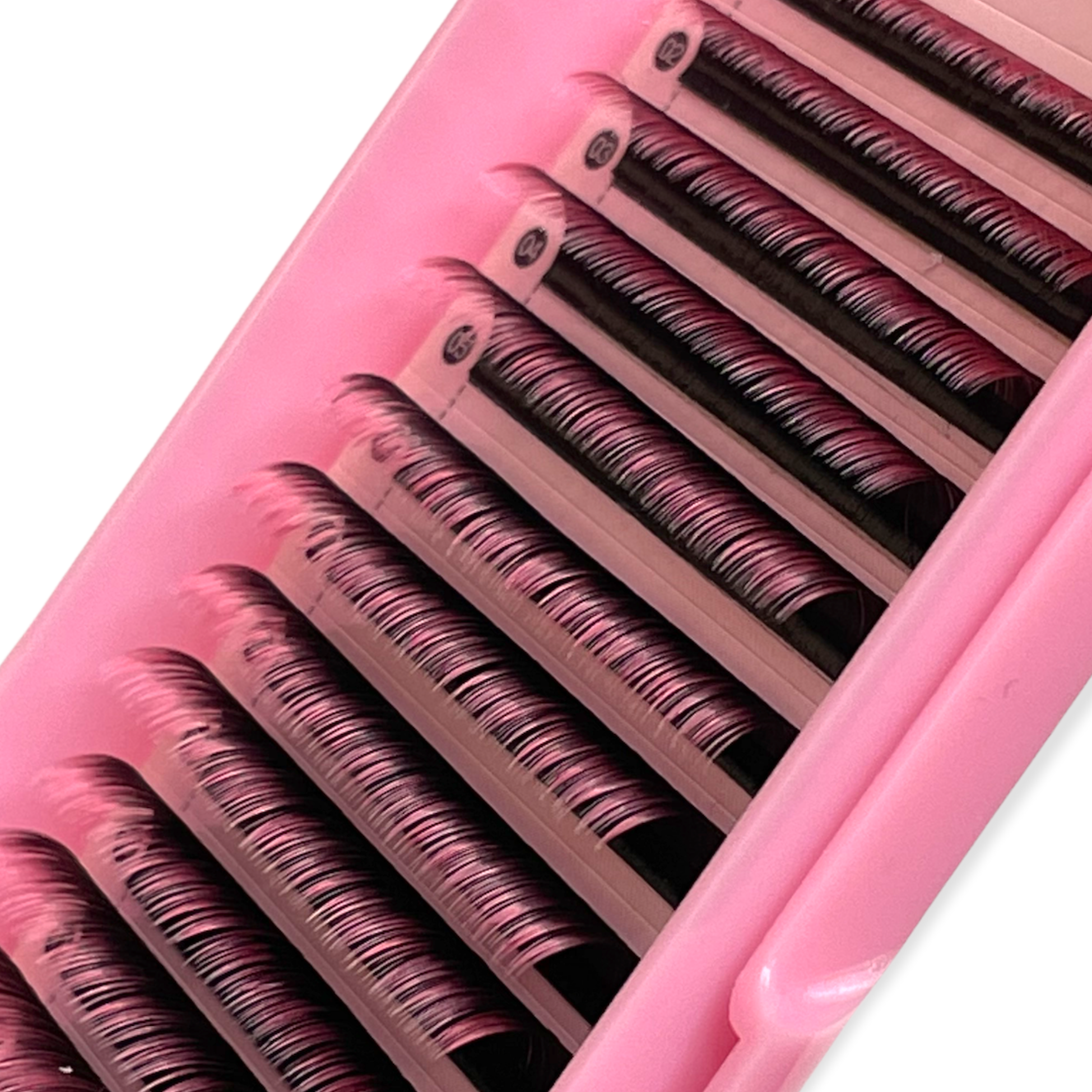 Pink Ombre Lash Extensions