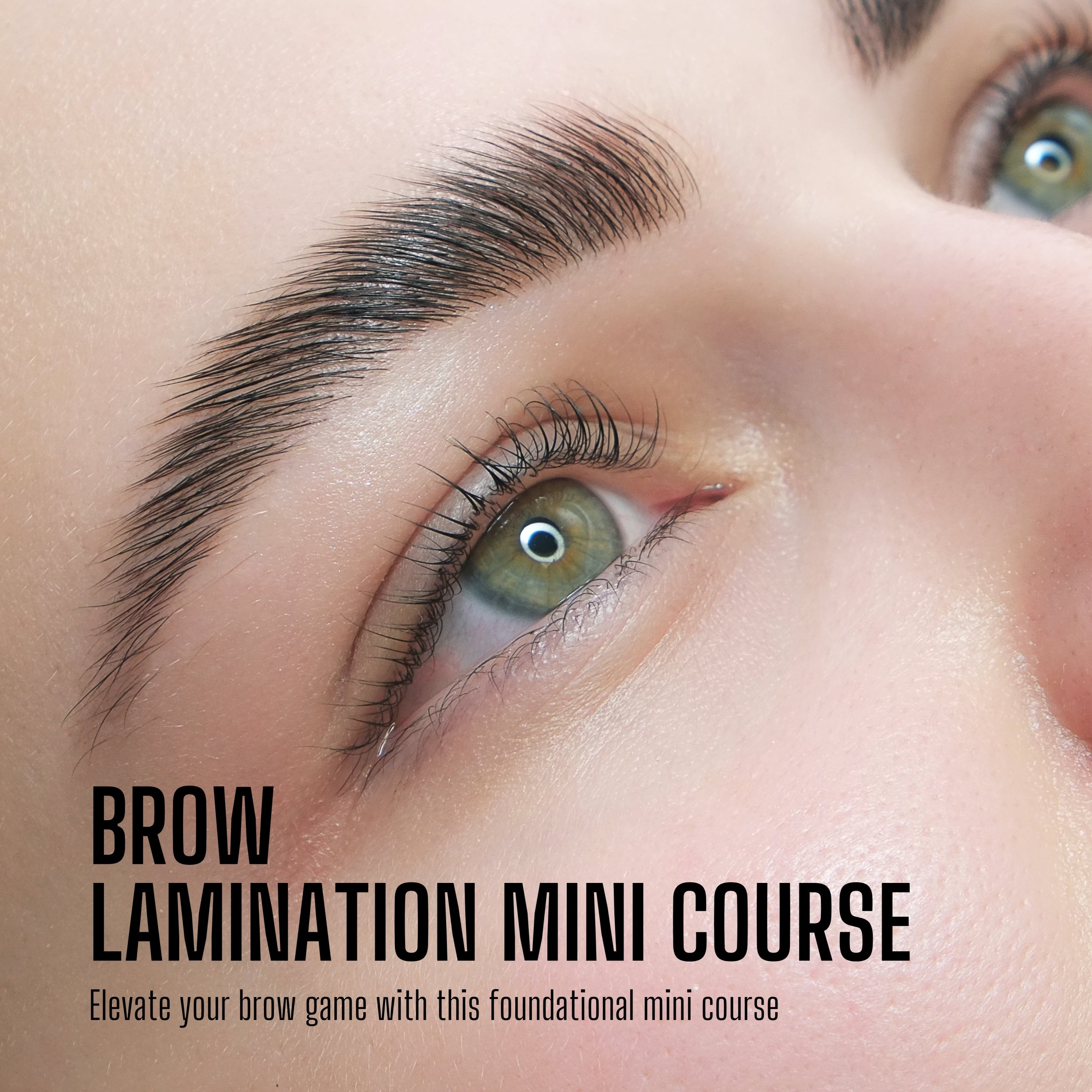 Brow Lamination Mini Course